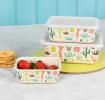Desert In Bloom Bamboo Boxes (set Of 3)