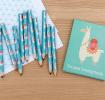 Dolly Llama Colouring Pencils (set Of 10)