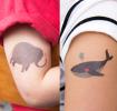 Elephant And Whale Temporary Tattoos