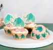 Elvis The Elephant Cupcake Kit