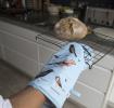 Garden Birds Oven Glove