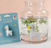 Grow Your Own Llama