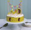 Honey The Hedgehog Cake Bunting