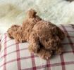 Brown plush dog toy lying down with floppy ears and soft fur