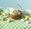 Fluffy chick sitting in a small basket surrounded by coloured eggs.