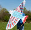 Colourful kite is shaped like a bird, with an impressive wingspan and long, flowing ribbon tails.