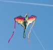 A giant dragon kite. Designed in a fantasy-inspired style with vivid colours and streaming ribbon tails