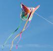 Flying a giant kite, Featuring a vibrant butterfly design with colourful wings and long flowing ribbon tails