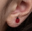 Stick on earrings (30 pairs) - Ladybird