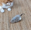 Fluffy wind-up toy - Rat