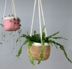 Seagrass hanging basket with hanging loop.