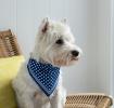 Large Blue Polka Dot Dog Bandana