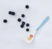 Charlie The Lion Melamine Spoon