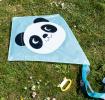 Miko The Panda Kite