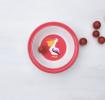 Pelican Melamine Bowl