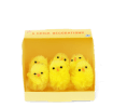 Six fluffy yellow chick decorations displayed inside a small yellow gift box.