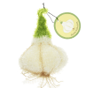 Garlic-shaped dishcloth with a white textured bulb, green stem, root details, and hanging loop with tag.