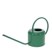 Green metal watering can with curved handle and long spout.