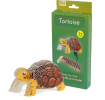 Make Your Own Tortoise 3D cardboard model kit with assembled tortoise and retail box.