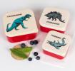 Prehistoric Land Snack Boxes (set Of 3)