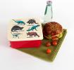 Prehistoric Land Lunch Box