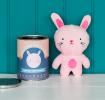 Robyn The Rabbit Friend In A Tin