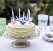 Set Of 6 Pastel Bird Cake Candleholders