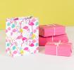 Small Flamingo Bay Gift Bag