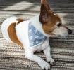 Small Grey-Blue Paw And Cross Bones Dog Bandana