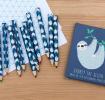 Sydney The Sloth Colouring Pencils (set Of 10)
