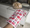 Vintage Apple Oven Glove