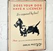 Vintage Dog Licence Metal Sign