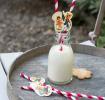 Vintage Kids Party Straws