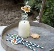 Vintage Transport Party Straws