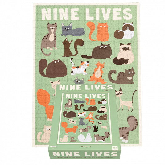 Completed Nine Lives puzzle with box