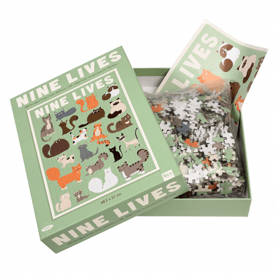 Nine Lives puzzle pieces and guide sheet in box