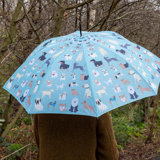 Blue green umbrella with illustrations of dogs used by person outside