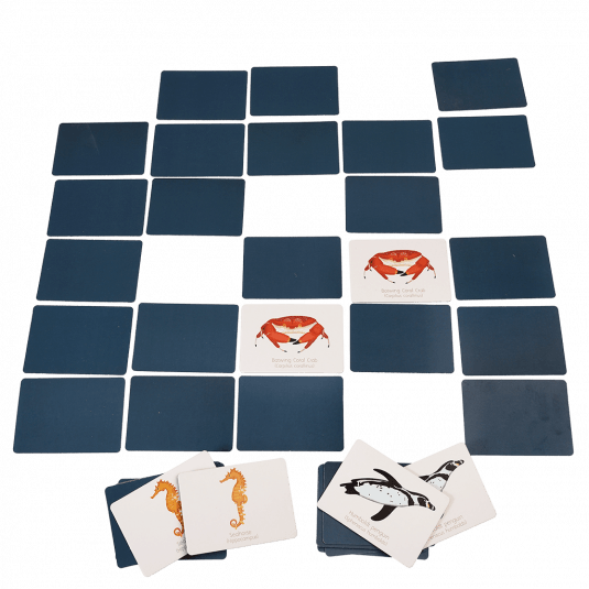 Memory game cards depicting ocean animals laid out on surface