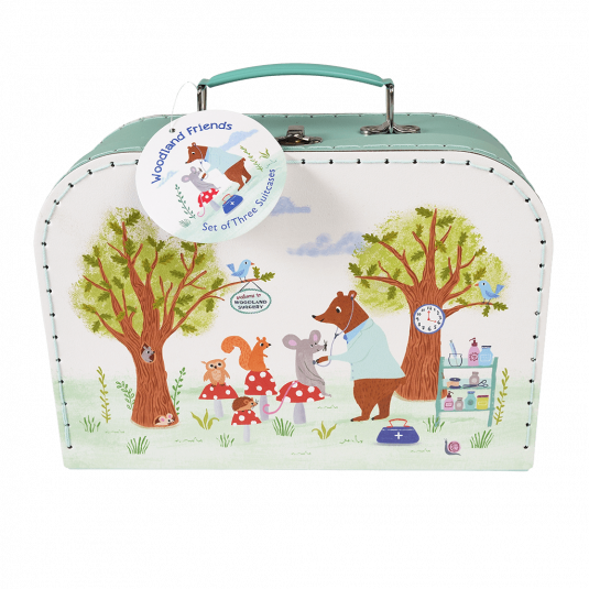 Cardboard storage case in white and pale green with woodland surgery scene print and teal stitching and handle