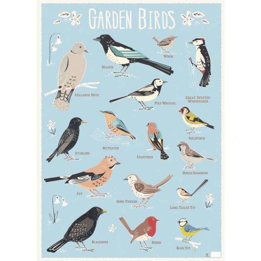 Garden Birds Wrapping Paper (5 Sheets)