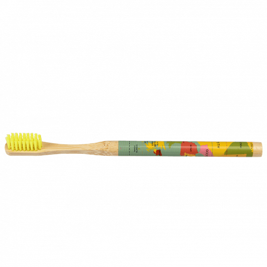 World Map Bamboo Toothbrush