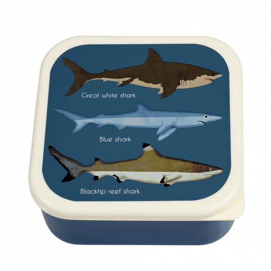 Sharks snack box large