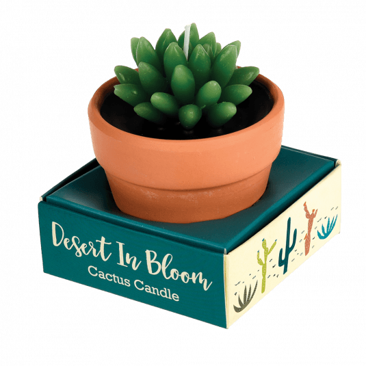 Cactus Candle In A Pot