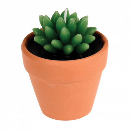 Cactus Candle In A Pot