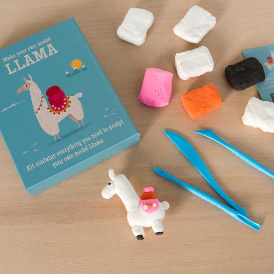 Make Your Own Dolly Llama Model