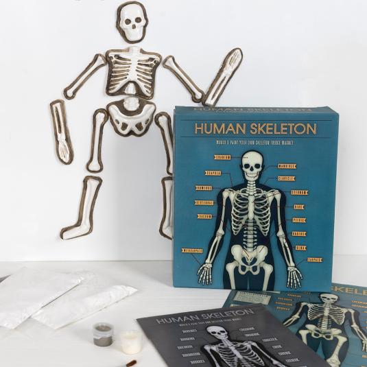 Make Your Own Glow In The Dark Skeleton Magnet
