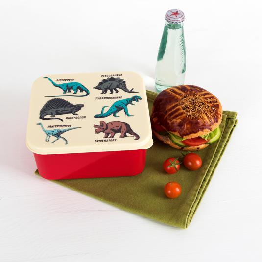 Prehistoric Land Lunch Box
