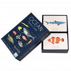 Ocean memory game box opened to reveal game cards