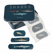 Dark blue plasters each with printed image of shark