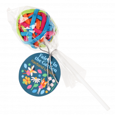 Fairies in the Garden hairband lollipop in packaging